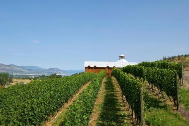 Hillside Winery | Canadian Wineries & Wine Festivals