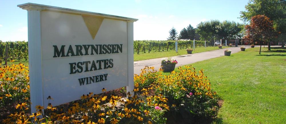 Marynissen Estates Winery