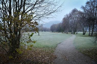 Weissenau Nature Reserve