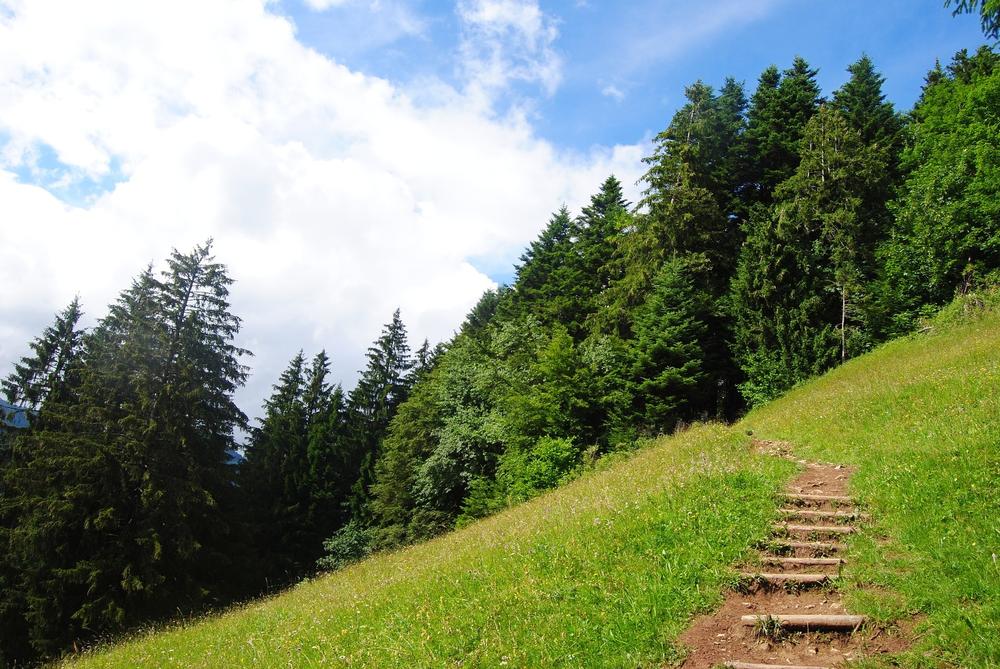 Rise Above It All at Harder Kulm
