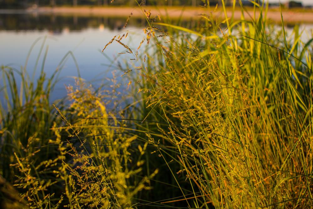 Blue Springs Lake - 30 minutes from downtown Kansas City