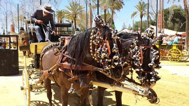 Feria Del Caballo