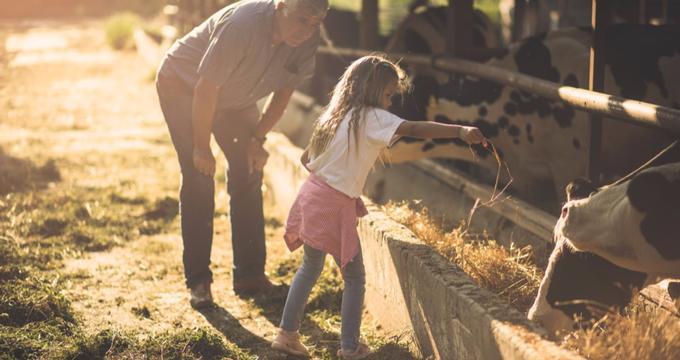 Reconnect with the Land: Experience Authentic Country Life with Farm Stay USA