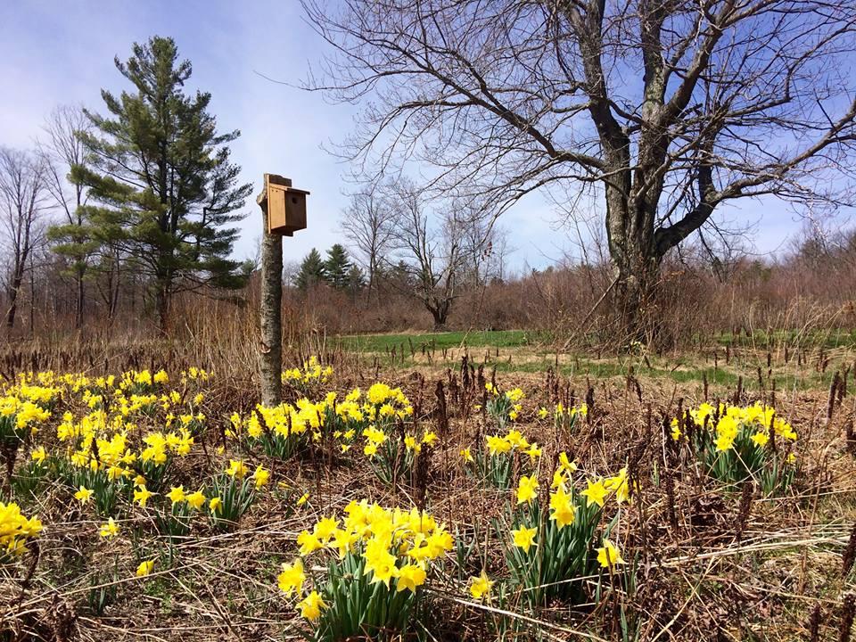 Pick Fresh Berries and Explore Nature at Bug Hill Farm