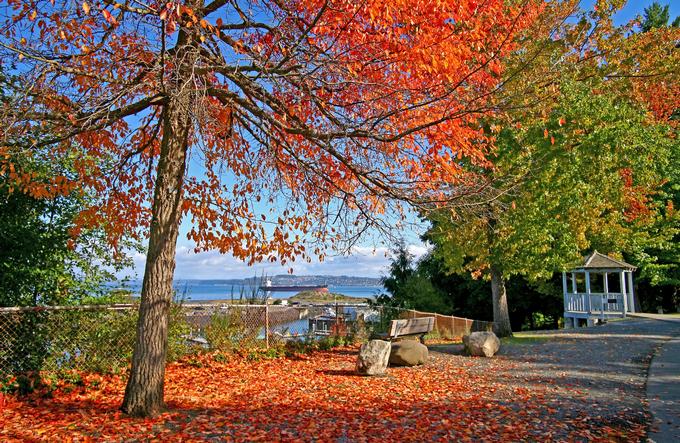 Five Mile Drive and Trails