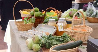 FoodInRoot