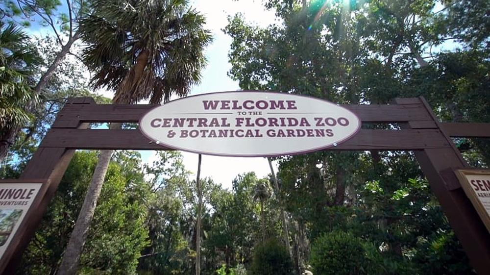 See exotic animals at the Central Florida Zoo & Botanical Gardens