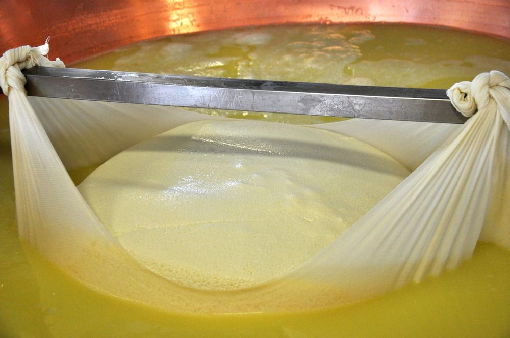 Sample Artisan Flavors at Grafton Village Cheese
