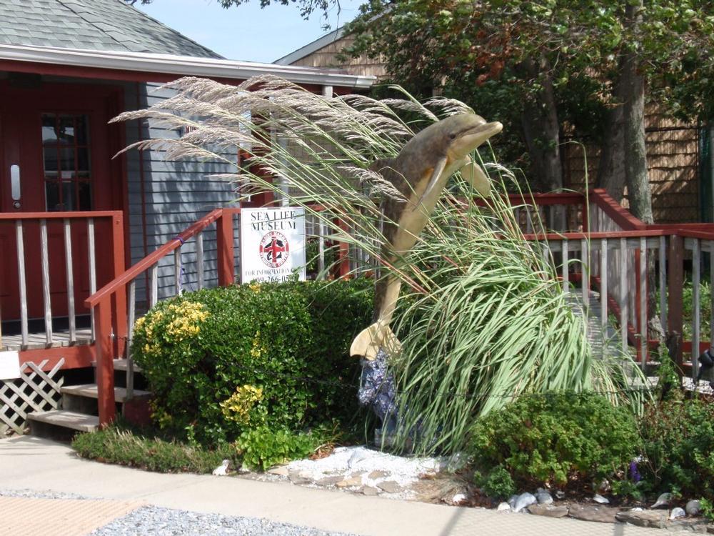 For Conservation Enthusiasts: Marine Mammal Stranding Center
