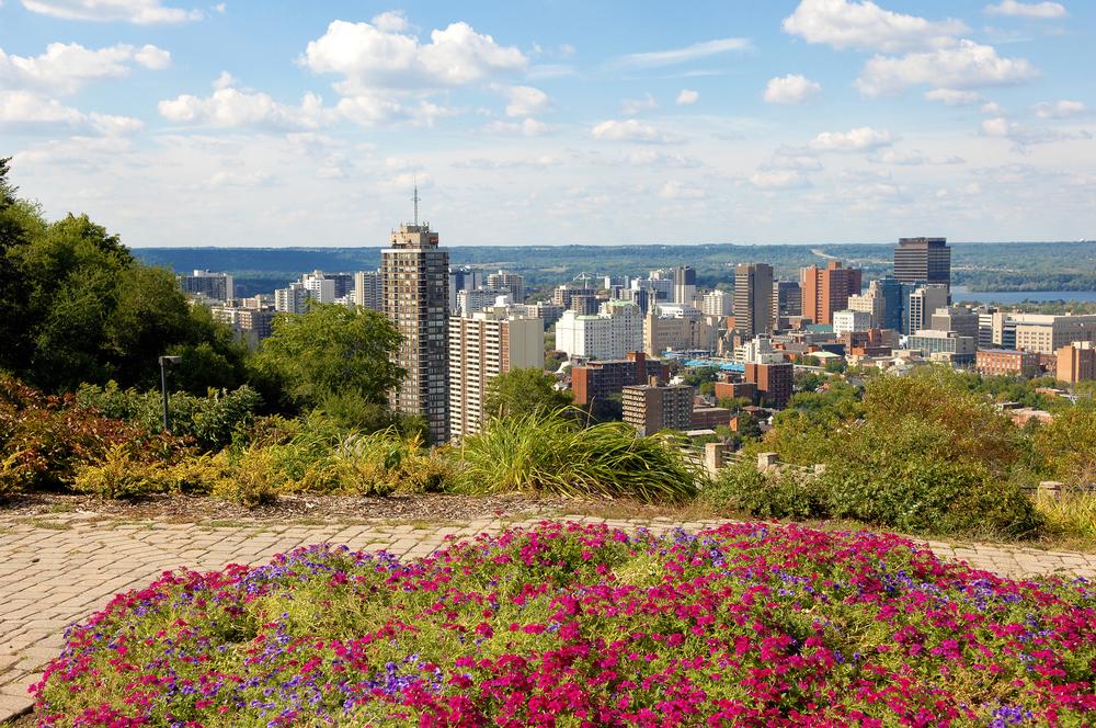 Hike, Sip, and Explore: Uncover Waterfalls and City Vibes in Hamilton