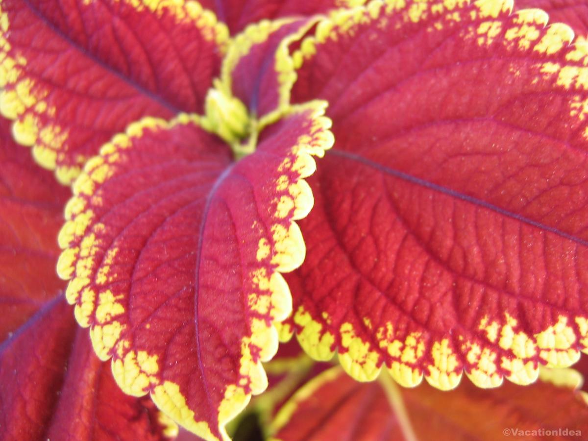 I took this photo in the summer