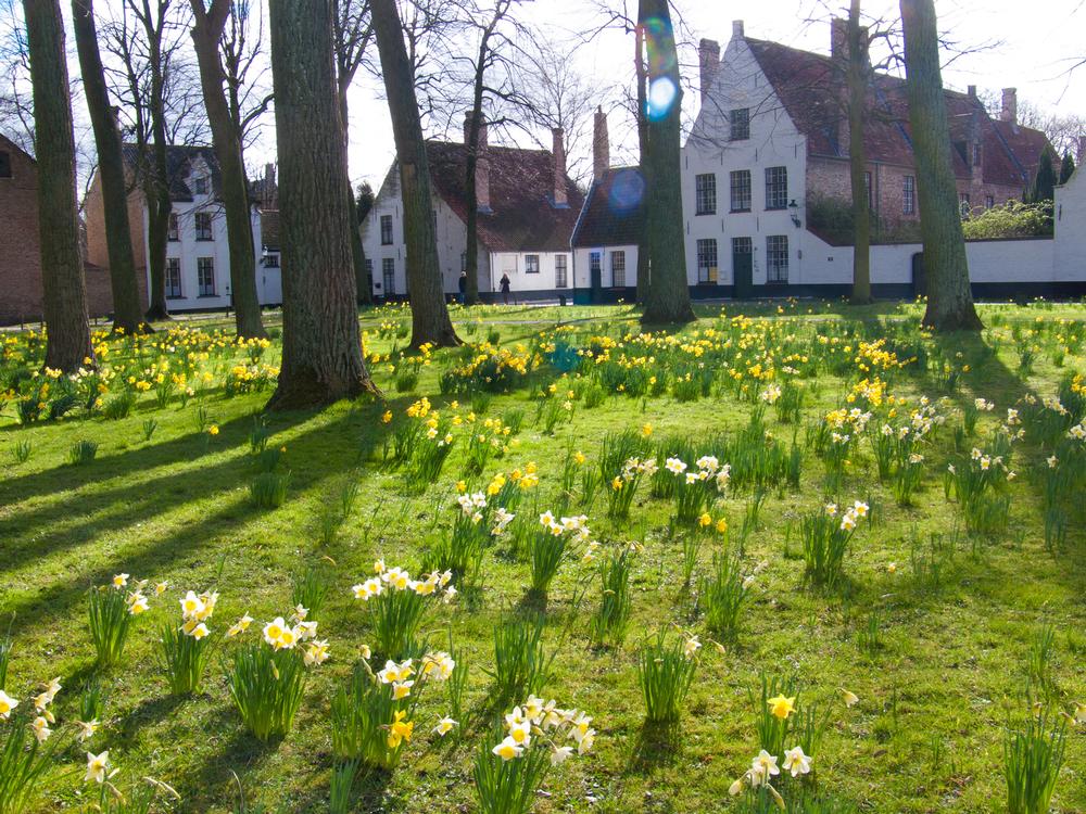 Wander Through Serenity and Sisterhood at the Flemish Beguinages