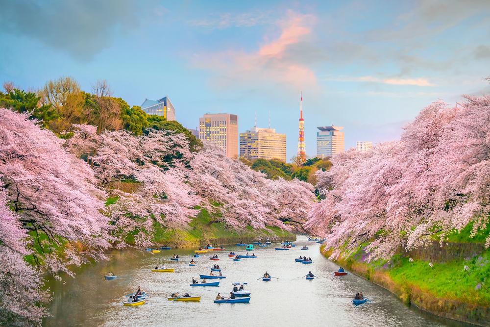 Dive Into Futuristic Adventures in Tokyo