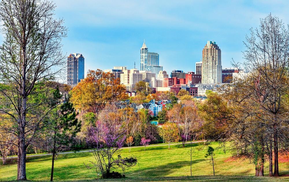 Explore Art, Innovation, and Green Spaces Throughout Raleigh
