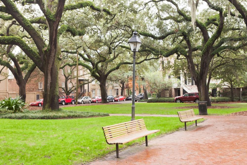 Stroll Through Spanish Moss, Cobblestone Streets, and Timeless Charm in Savannah