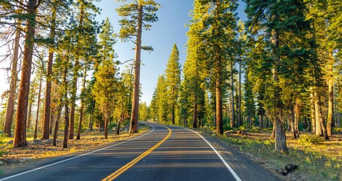 Getting to Yosemite National Park from San Francisco