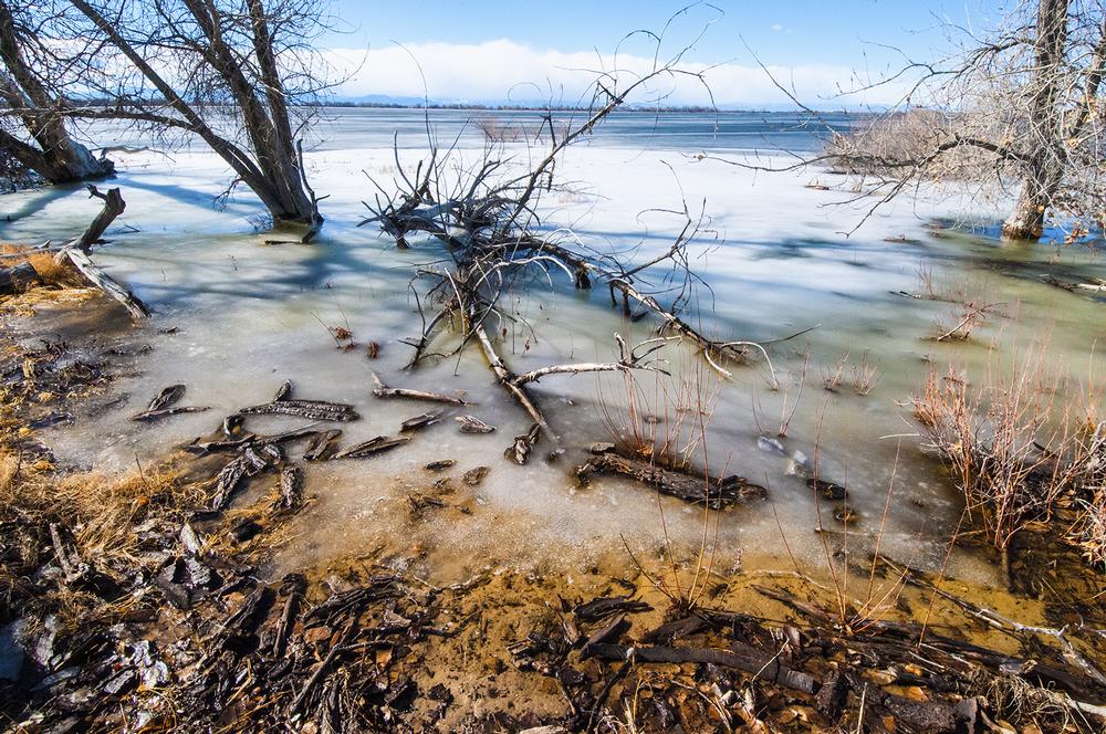 Spot Wildlife and Hike Trails at Barr Lake State Park