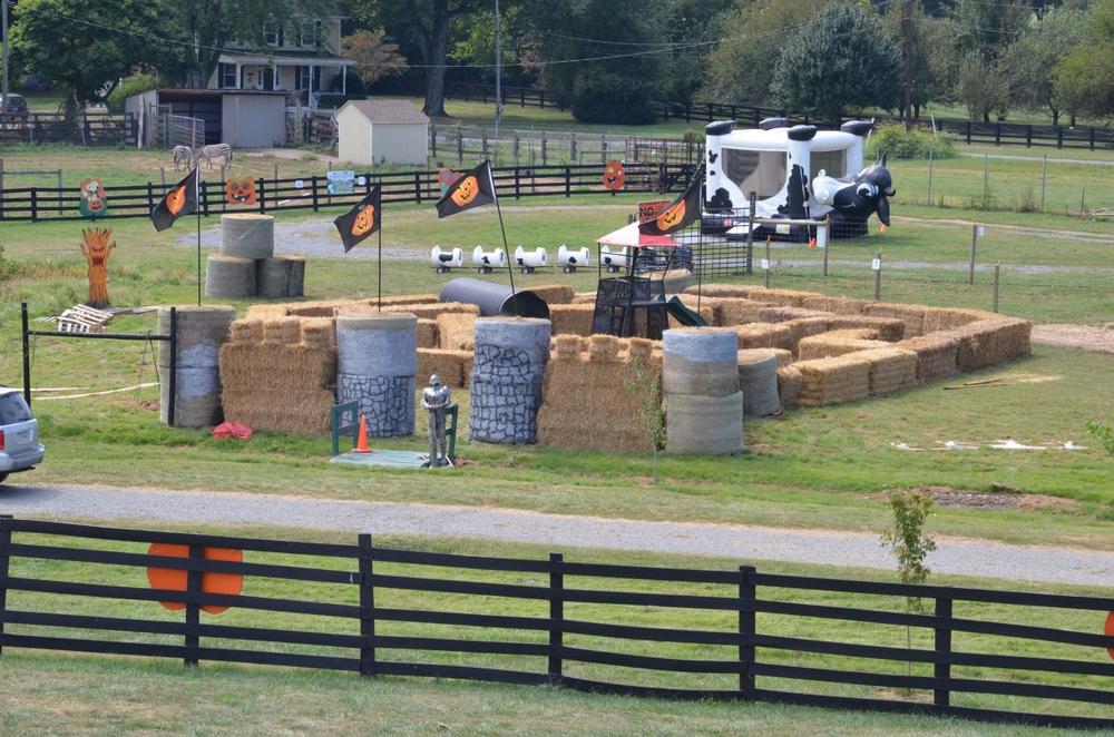 Pet, Feed, and Play With Friendly Animals at Leesburg Animal Park
