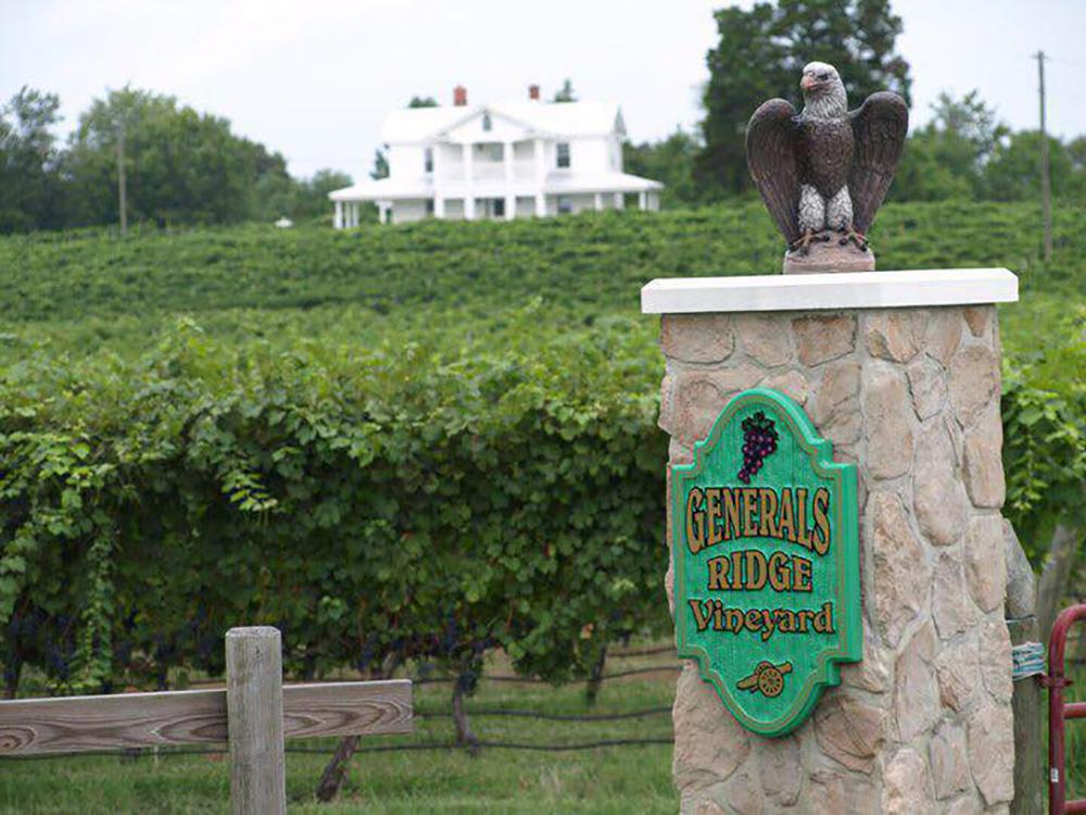 Relax With Estate Wines and Peaceful Vistas at General’s Ridge Vineyard