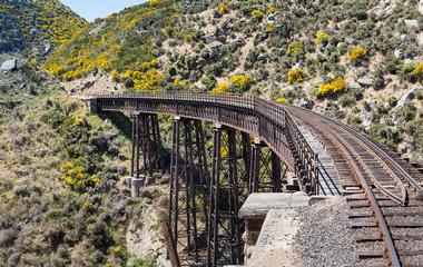 Dunedin Railway