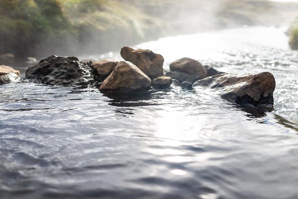 Relax in natural hot springs and admire beautiful forest surroundings for a tranquil escape.