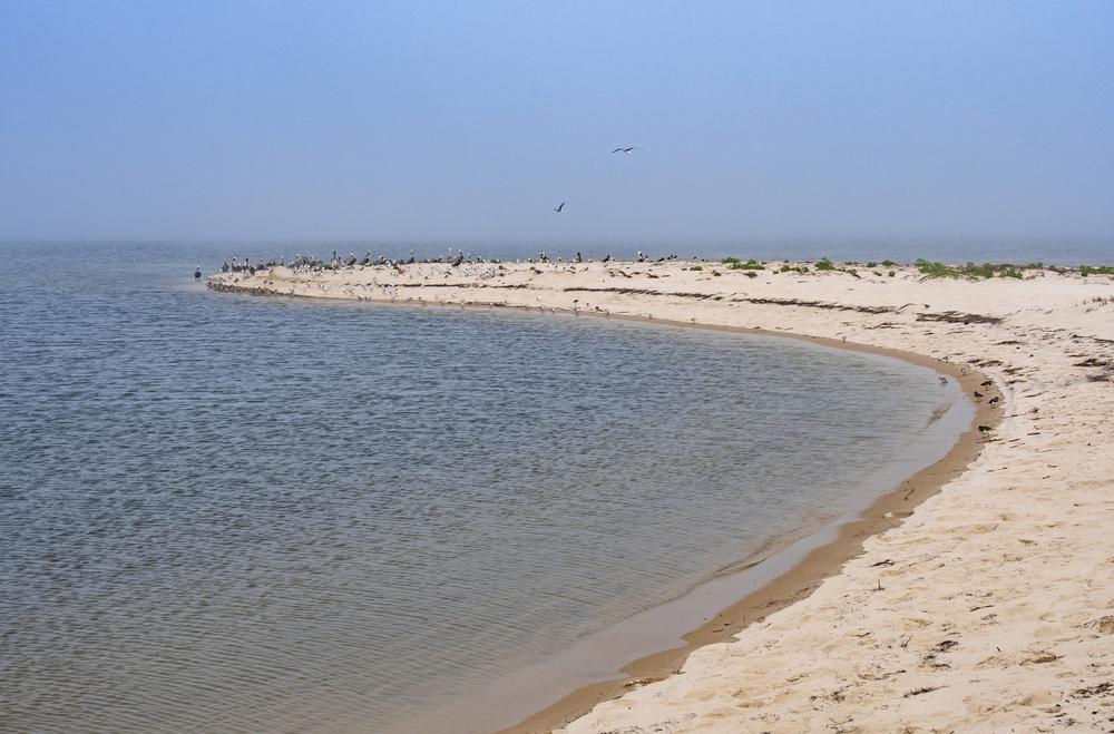 Explore Coastal Beauty at Bald Point State Park