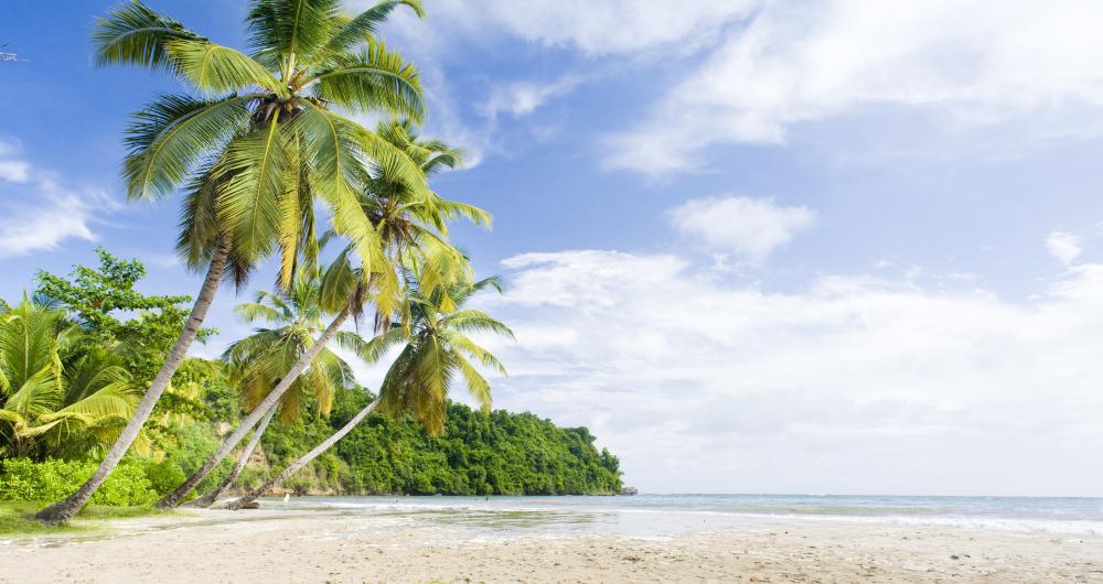 Grenada Beaches