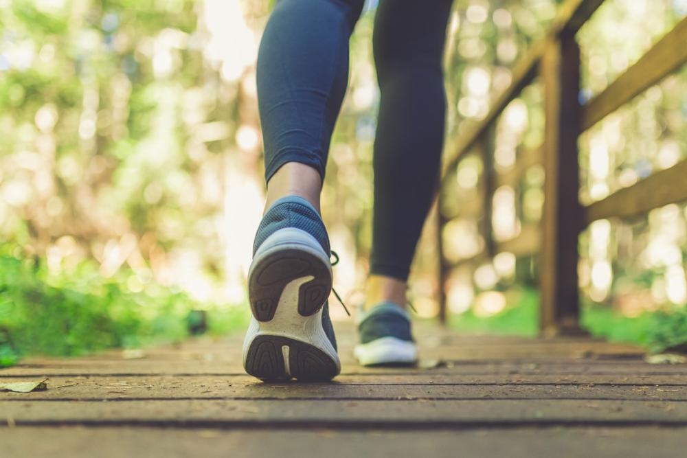Bike or Hike Through History on the Presidential Rail Trail