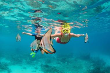 Kona Snorkel Tours