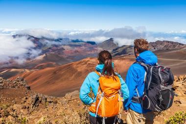 Wasabi Tours Hawaii