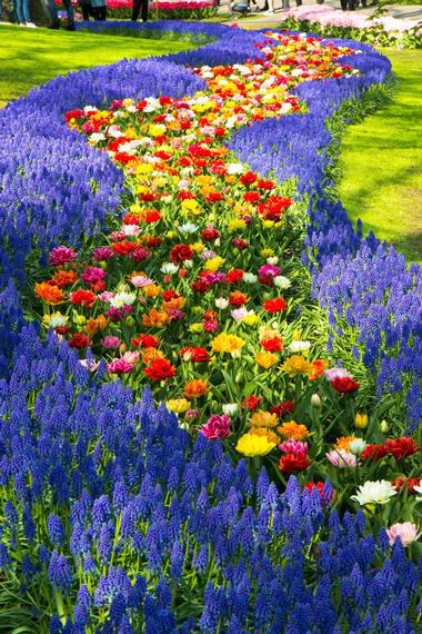 Attractions and Gardens