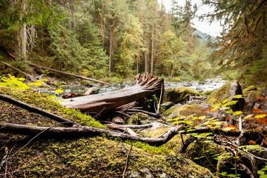 Olympic National Park