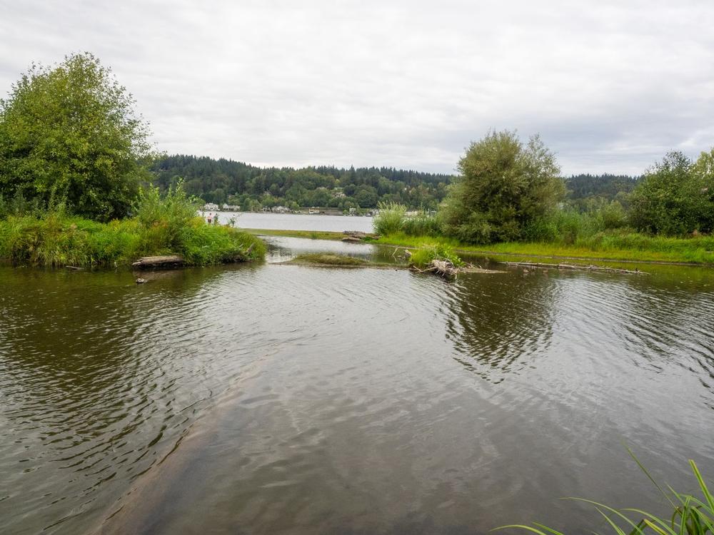 Lake Sammamish State Park - 25 minutes from Seattle