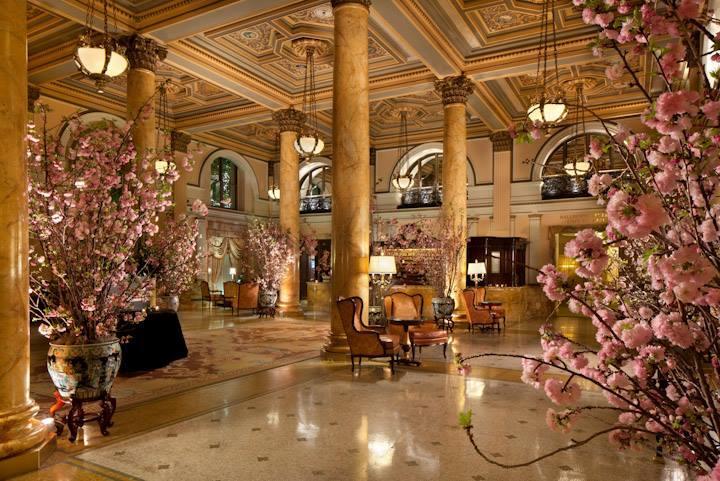 Step Into Timeless Grandeur at The Willard