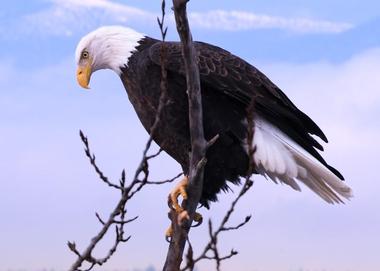 Kootenai National Wildlife Refuge