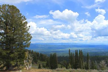 Boise National Forest