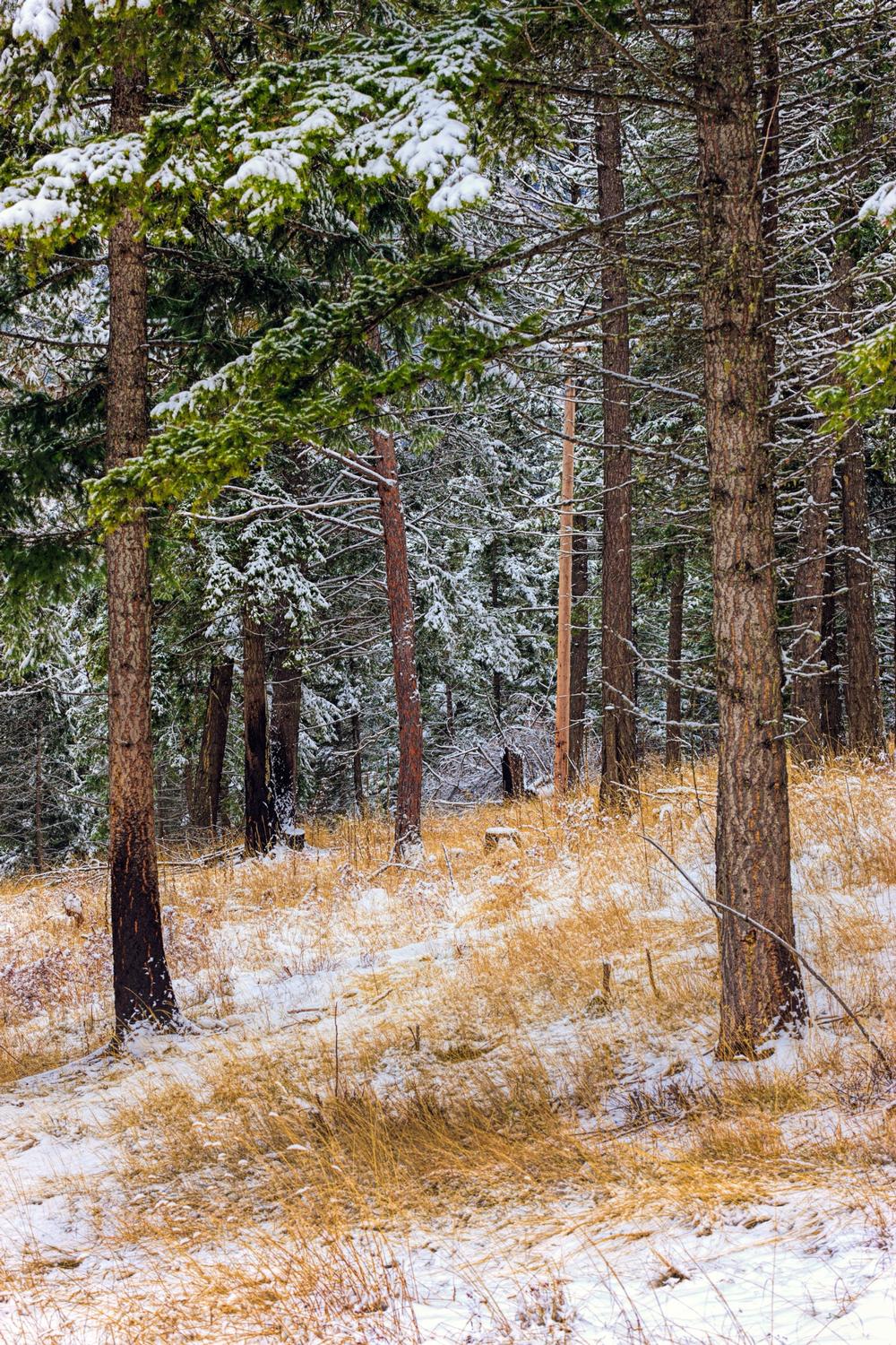 Farragut State Park - 40 minutes from Coeur d'Alene