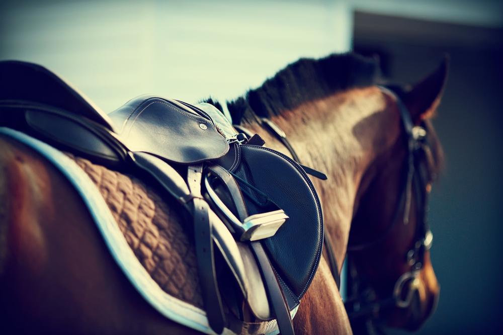 Go On an Adventure with Mt. Princeton Riding Stables & Equestrian Center