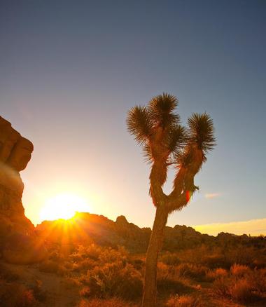 Black Rock Canyon