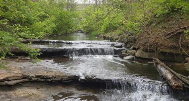 Radnor Lake State Park | Fun Things to Do in Nashville with Kids