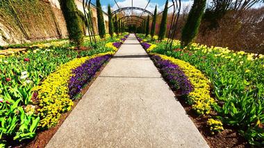 Cheekwood Estate and Gardens | Fun Things to Do in Nashville with Kids