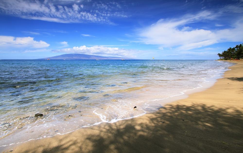 D. T. Fleming Beach Park, Kapalua Resort