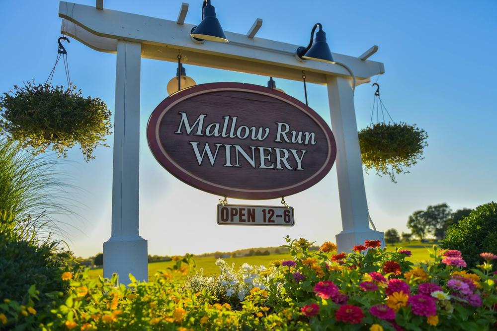 Mallow Run Winery