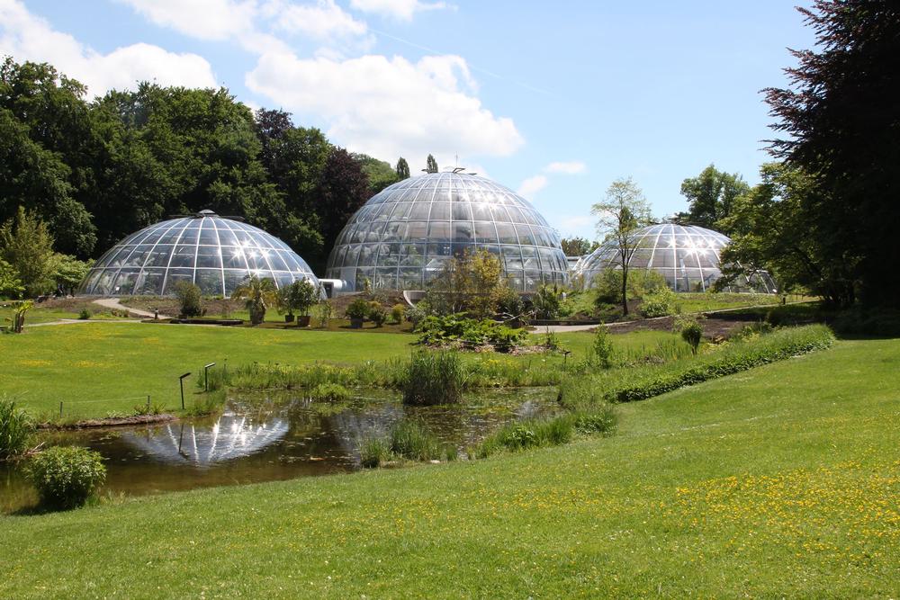 Escape into Nature at Zurich’s Serene Botanical Garden