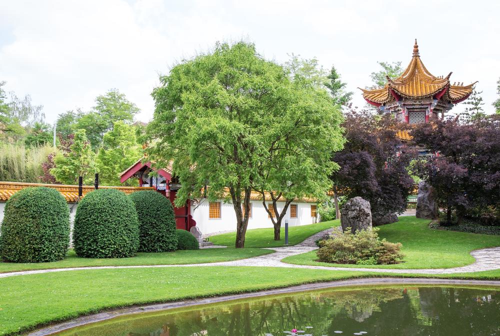 Find Peace and Beauty in the Tranquil Chinese Garden