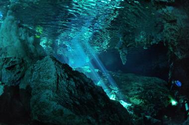 La Calypso Dive Center | Attractions in Riviera Maya, Mexico