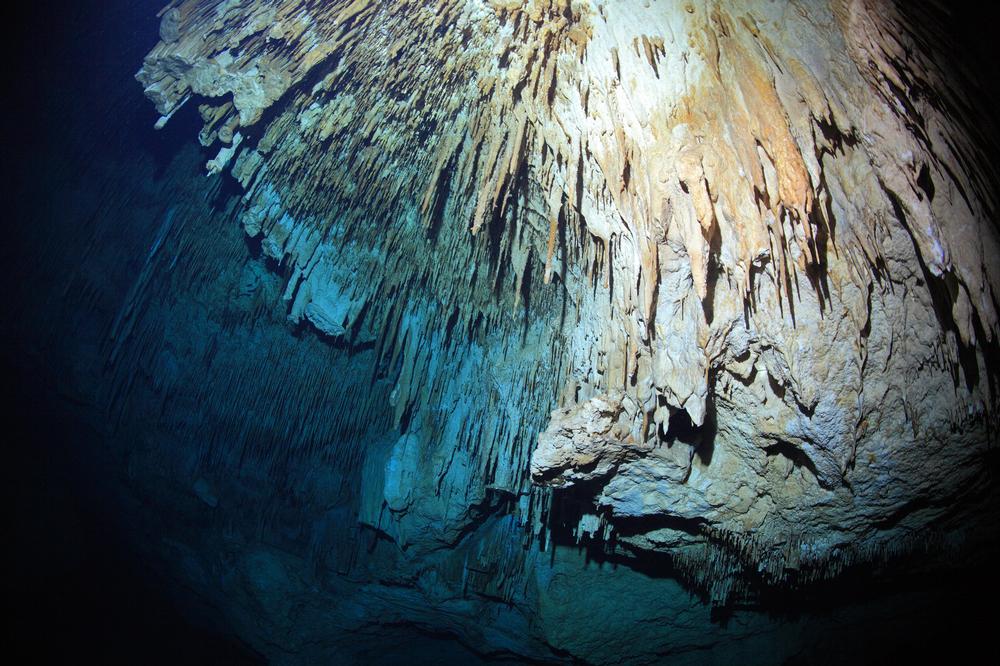 Pet Cemetery Cenote