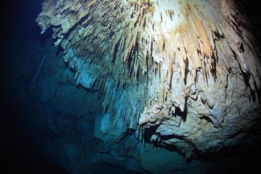 Pet Cemetery Cenote | Attractions in Riviera Maya, Mexico