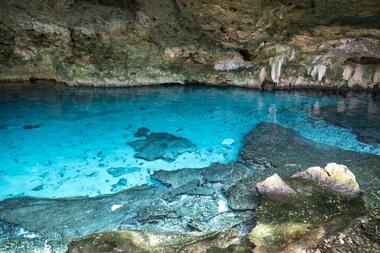 Kantun Chi Ecological Park | Attractions in Riviera Maya, Mexico