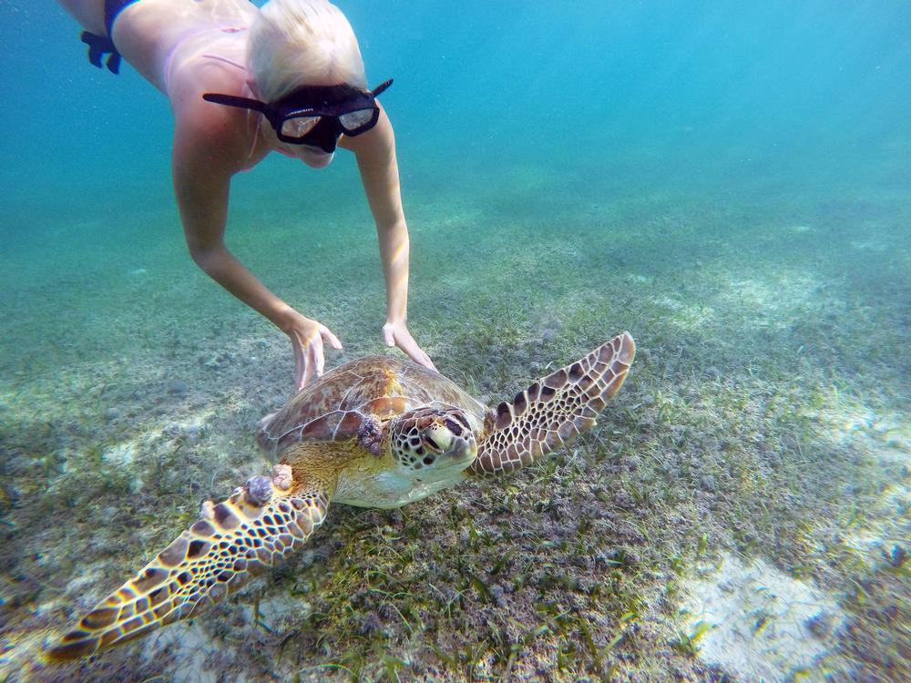 If You Crave a Full-On Jungle Quest, Book with Aventuras Mayas